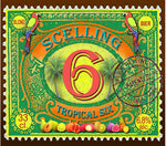 Tropical Six